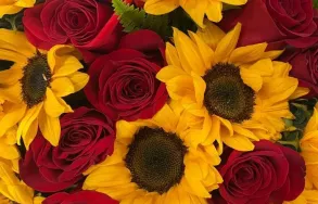 Imagem 3 da empresa ESALFLORES FLORICULTURA E GARDEN CENTER Floriculturas em Curitiba PR