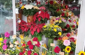 Imagem 4 da empresa FLORA PRACINHA DO BATEL Floriculturas em Curitiba PR