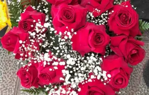 Imagem 4 da empresa FLORES PINGO DE OURO Floriculturas em Curitiba PR