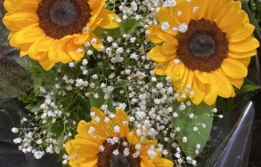 Imagem 6 da empresa FLORES PINGO DE OURO Floriculturas em Curitiba PR