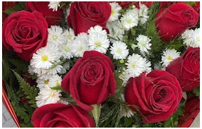 Imagem 1 da empresa FLORICULTURA BEIJA-FLOR Floriculturas em Porto Alegre RS