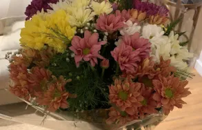 Imagem 4 da empresa FLORICULTURA BEIJA-FLOR Floriculturas em Porto Alegre RS