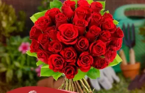 Imagem 8 da empresa FLORICULTURA LUMERTZ Floriculturas em Porto Alegre RS