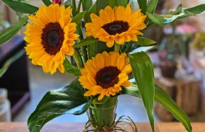 Imagem 4 da empresa FLORICULTURA MANIA DE FLOR Floriculturas em Curitiba PR