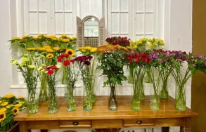 Imagem 7 da empresa FLORICULTURA PORTO ALEGRE - ARQUITETURA DAS FLORES Floriculturas em Porto Alegre RS