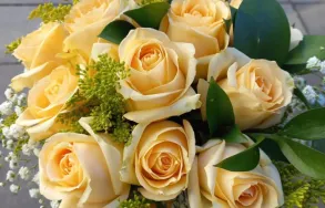 Imagem 2 da empresa FLORICULTURA TOCA DAS FLORES Floriculturas em Porto Alegre RS