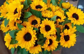 Imagem 3 da empresa FLORICULTURA WINGE Floriculturas em Porto Alegre RS