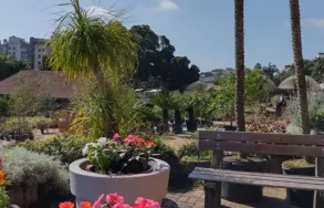 Imagem 6 da empresa FLORICULTURA WINGE Floriculturas em Porto Alegre RS