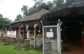 Imagem 2 da empresa FRUTIGRAMA Vasos para Plantas em Ribeirão Preto SP