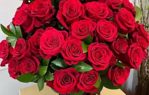 Imagem 4 da empresa TESS FLEUR - FLORICULTURA PORTO ALEGRE Floriculturas em Porto Alegre RS