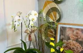 Imagem 5 da empresa TESS FLEUR - FLORICULTURA PORTO ALEGRE Floriculturas em Porto Alegre RS