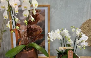 Imagem 7 da empresa TESS FLEUR - FLORICULTURA PORTO ALEGRE Floriculturas em Porto Alegre RS