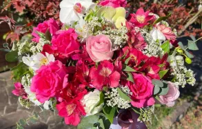 Imagem 8 da empresa TESS FLEUR - FLORICULTURA PORTO ALEGRE Floriculturas em Porto Alegre RS