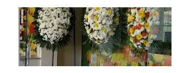 Imagem 2 da empresa ANGELUS SERVIÇOS FUNERÁRIOS Funerárias em Porto Alegre RS