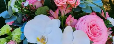 Imagem 4 da empresa CHILFLOR FLORICULTURA Floriculturas em Curitiba PR