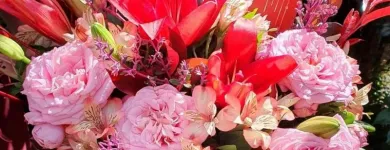 Imagem 6 da empresa CHILFLOR FLORICULTURA Floriculturas em Curitiba PR