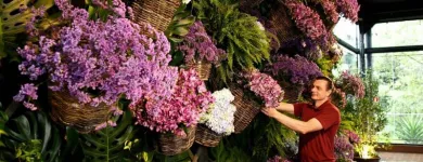 Imagem 7 da empresa CHILFLOR FLORICULTURA Floriculturas em Curitiba PR