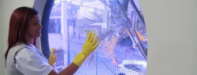 Imagem 1 da empresa CLICK TERCEIRIZAÇÃO DE LIMPEZA Tercerizacao De Servicos em Londrina PR