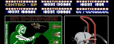 Imagem 5 da empresa DD INSETO - DEDETIZADORA E DESENTUPIDORA SP Ratos em São Paulo Brasil