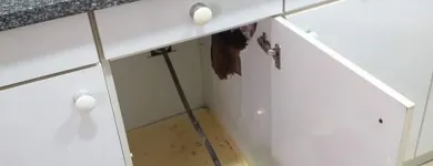 Imagem 3 da empresa DESENTUPIDORA NA ZONA NORTE I LIGOU CHEGOU 24H. Prestação de Serviços - Empresas em Diadema SP