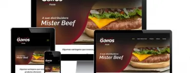 Imagem 9 da empresa FJ DESIGNER - CRIAÇÃO DE SITES EM CAMPINAS Web Designers em Campinas SP