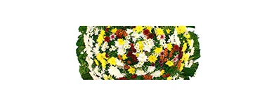 Imagem 5 da empresa FLORICULTURA E FUNERÁRIA Velórios em São Paulo SP