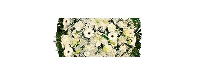 Imagem 6 da empresa FLORICULTURA E FUNERÁRIA Velórios em São Paulo SP