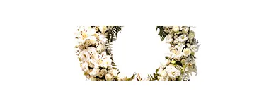 Imagem 8 da empresa FLORICULTURA E FUNERÁRIA Velórios em São Paulo SP