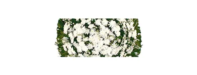 Imagem 1 da empresa FLORICULTURA E FUNERÁRIA Velórios em São Paulo SP