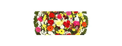 Imagem 2 da empresa FLORICULTURA E FUNERÁRIA Velórios em São Paulo SP