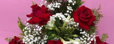 Imagem 2 da empresa FLORICULTURA LUMERTZ Floriculturas em Porto Alegre RS