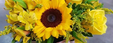 Imagem 3 da empresa FLORICULTURA MANIA DE FLOR Floriculturas em Curitiba PR