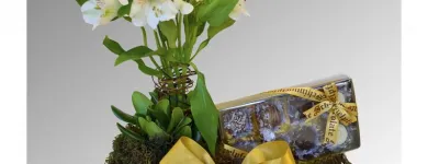 Imagem 7 da empresa FLORICULTURA SÓ ROSAS Floriculturas em Curitiba PR