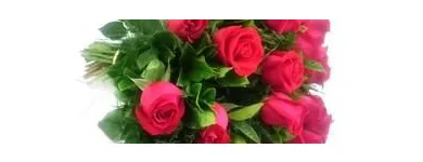 Imagem 1 da empresa OFICINA DE FLORES Floriculturas em São Paulo Brasil