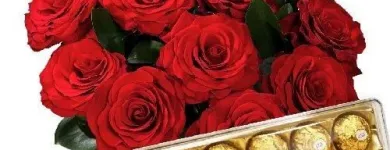 Imagem 3 da empresa OFICINA DE FLORES Floriculturas em São Paulo Brasil