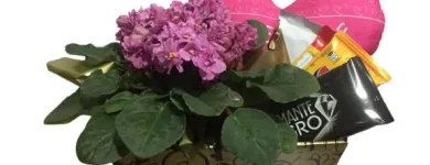 Imagem 5 da empresa OFICINA DE FLORES Floriculturas em São Paulo Brasil