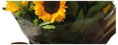 Imagem 6 da empresa OFICINA DE FLORES Floriculturas em São Paulo Brasil