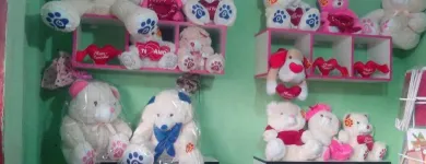 Imagem 2 da empresa OPERAÇÃO CUPIDO Telemensagens em Manaus AM