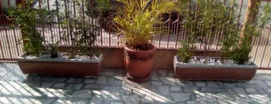 Imagem 2 da empresa RECANTO ALEGRE REPOUSO PARA IDOSOS Casas De Repouso em São Paulo SP