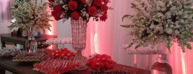 Imagem 2 da empresa RELUZIR EVENTOS Festas e Eventos - Organização em Salvador BA