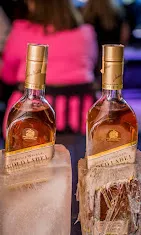 Imagem 1 da empresa SANTA MARTA BAR