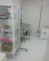 Imagem 4 da empresa PET SHOP ENTRE PATAS E BEIJOS