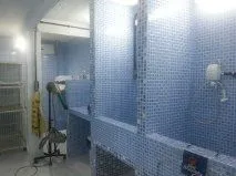 Imagem 6 da empresa PET SHOP ENTRE PATAS E BEIJOS