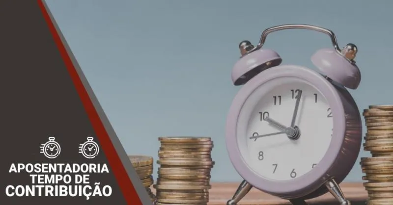 Imagem 11 da empresa PRONACIONAL
