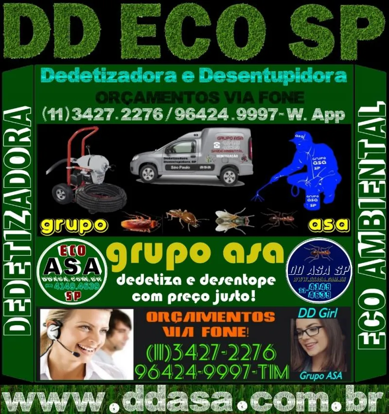 Imagem 3 da empresa DD ASA SP