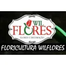 WIL FLORES CATANDUVA Flores em Catanduva SP