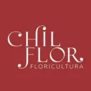 CHILFLOR FLORICULTURA Floriculturas em Curitiba PR