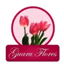 FLORICULTURA GUARU FLORES Plantas em Guarulhos SP