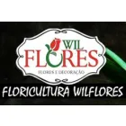 WIL FLORES CATANDUVA