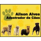 AILSON ALVES - ADESTRAMENTO DE CÃES